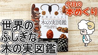 今日の本めくり〈創元社〉～『世界のふしぎな木の実図鑑』～