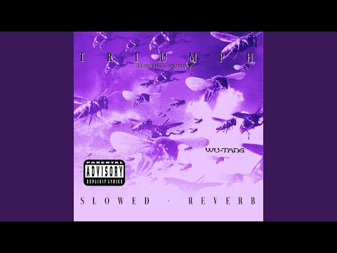 Triumph (slowed + reverb)