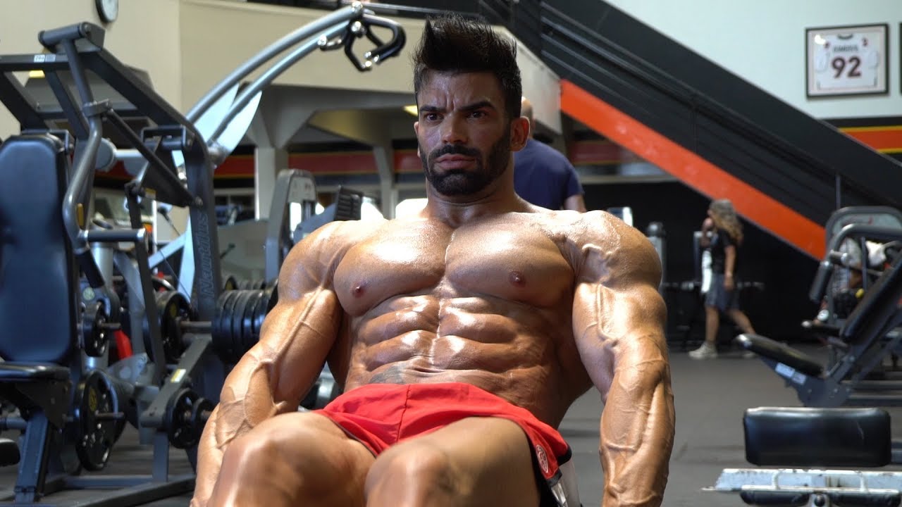 Sergi Constance Trains Chest and Arms at Bev Francis Powerhouse Gym |  Fitness magazine, Fitness body, Male magazine