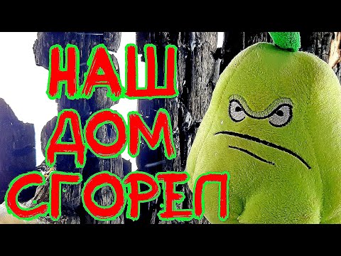 Видео: ГИБЕЛЬ ПОДСОЛНУХА / PVZ / 4 серия