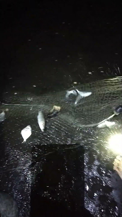 DAGHANA SA DANGLAY UG GISAW , BASTA GISAW SA AMIHAN DAGKU #jmakoyvasay #fishing #pukot