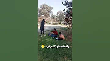همکاری بنده خدا خدایی ستودنی بود خنده خندانندهشو خنده دارترین کلیپ ها خندارترین یوتیوب 