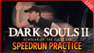 Completing the Learning | DS2 Scholar Any% Restricted (No Parrywalk)