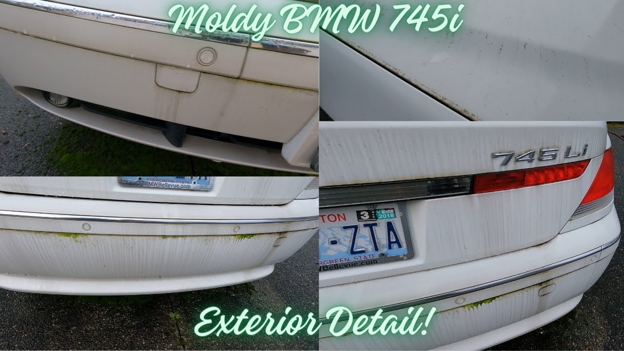 MOLDY BMW 745i Exterior Car Detail Lake Stevens Auto Detailing YouTube