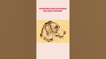 Optical Illusion Vision Test: Find Dog’s Master in 30 Seconds