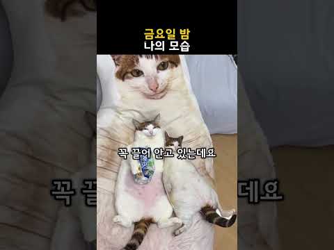 금요일 밤 나의 모습 thumbnail