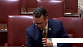 Senate Floor Session, 3/22/2024 #1