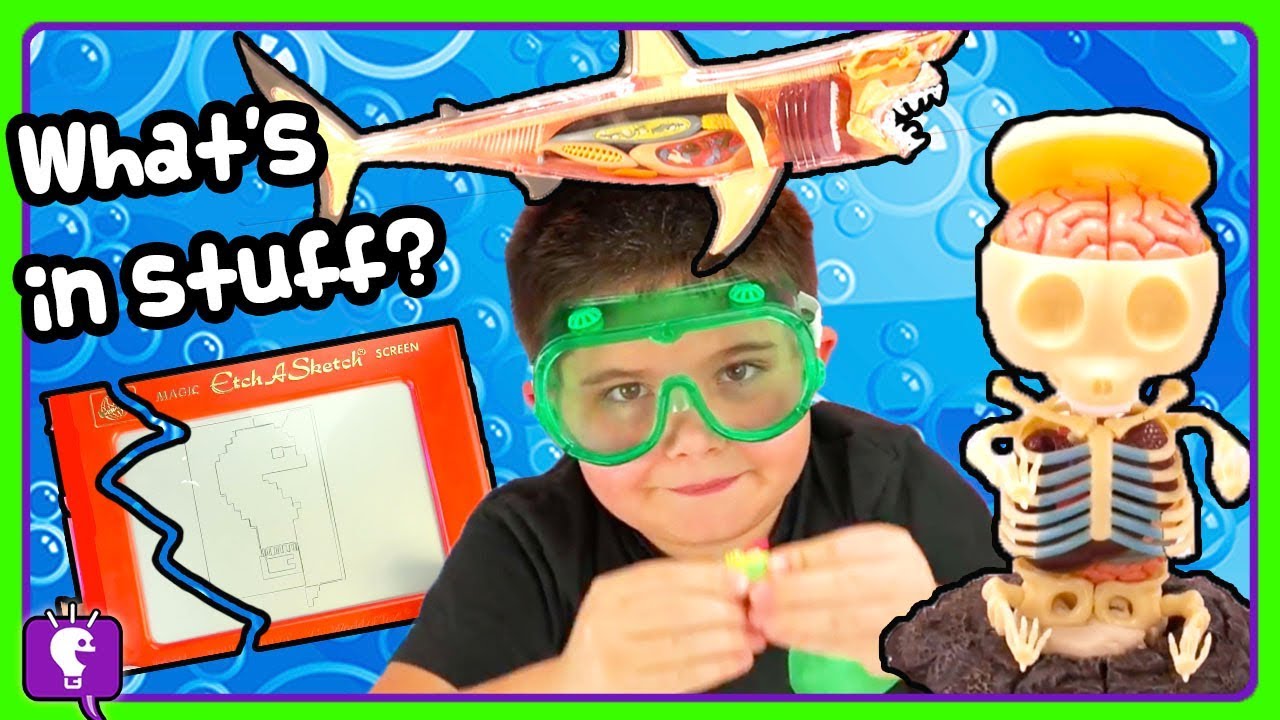 HobbyScience Lab COMPILATION with Fun Facts by HobbyKids! 