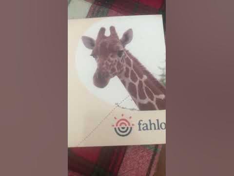 Fahlo giraffe. https://www.myfahlo.com/discount/MOONSTONE?rfsn=5628176
