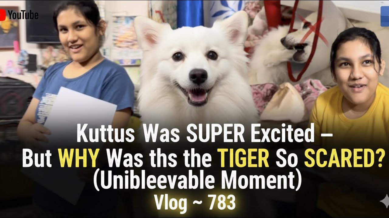 Kuttus Was SUPER Excited — But WHY Was the TIGER So SCARED? (Unbelievable Moment!) 