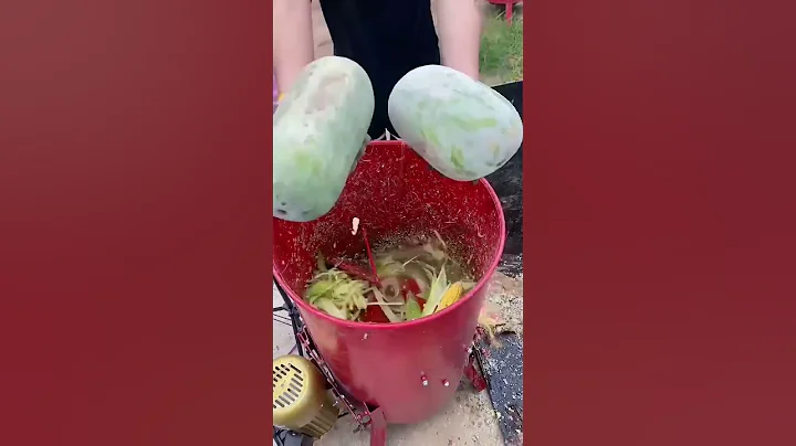 Animal feed vegetable shredder melon fruit pumpkin potato Slicing machine farming machinery - DayDayNews