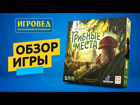 Видео: Грибные места. Обзор настольной игры от Игроведа