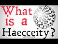 What is a Haecceity? (Metaphysics)