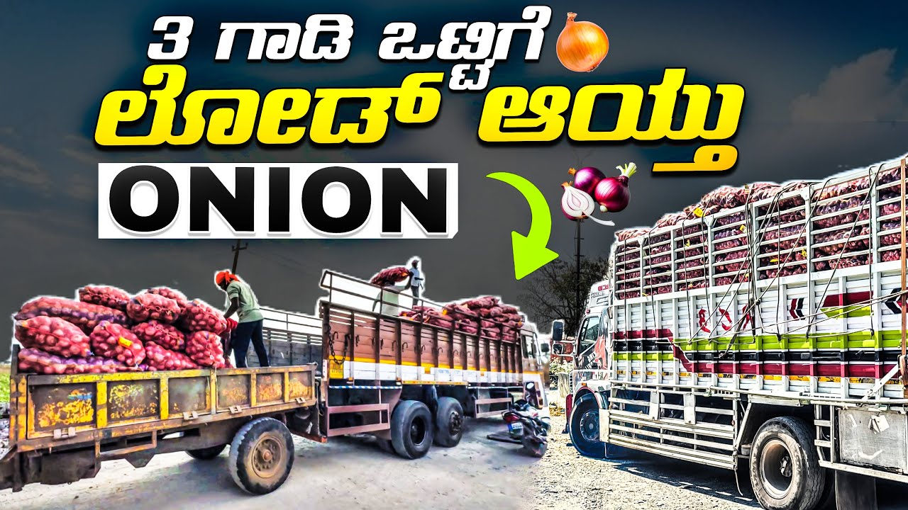 3 ಗಾಡಿ ಒಟ್ಟಿಗೆ ಲೋಡ್ ಆಯ್ತು | onion express 🚀🚀 | #kannadatruckvlogs #lorryvlog 