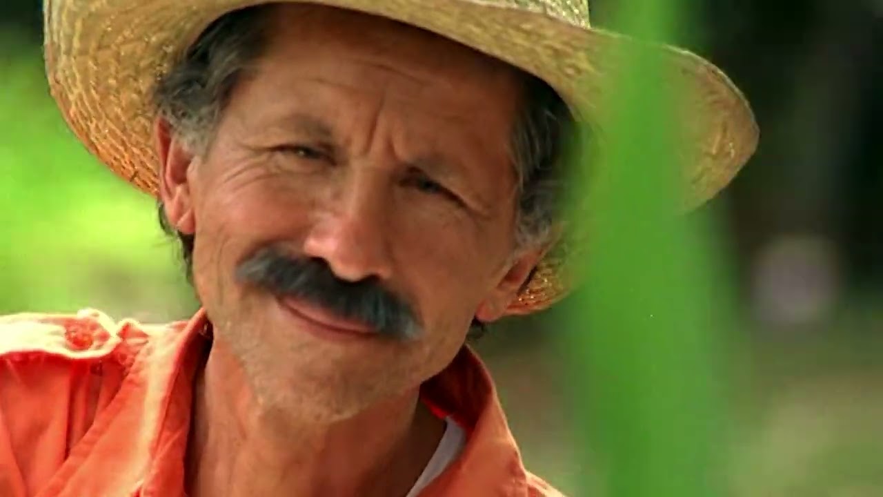 Die süßesten und cremigsten Bananen? Natürlich von SanLucar!