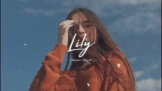 Alan Walker, K-391 & Emelie Hollow - Lily (Slowed & Reverb)