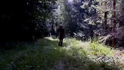 Urlaub Mit Hundeschule Bayern Urlaub Mit Hundeschule Bayern