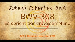Análisis "Es spricht der unweisen Mund" BWV 308