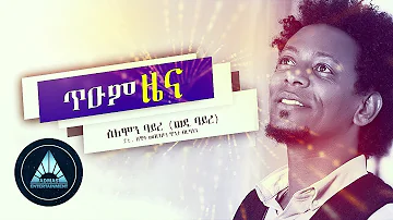 Solomon Bayre - Tium Zena (Official Audio) | Ethiopian Tigrigna Music