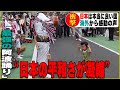 日本の良さが凝縮された映像に海外から感動の声が続出。