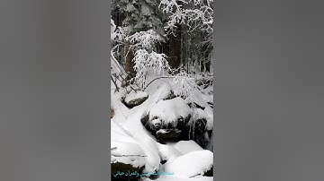 {واتل عليهم نبأ ابني آدم بالحق} سورة المائده من اجمل ما قُرِءَ 💙#ياسرـالدوسري#اسلامـصبحي