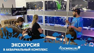 Как Прошла Экскурсия В Наш Аквариальный Комплекс Exomenu.