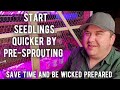How to Start Seedlings by Pre-sprouting