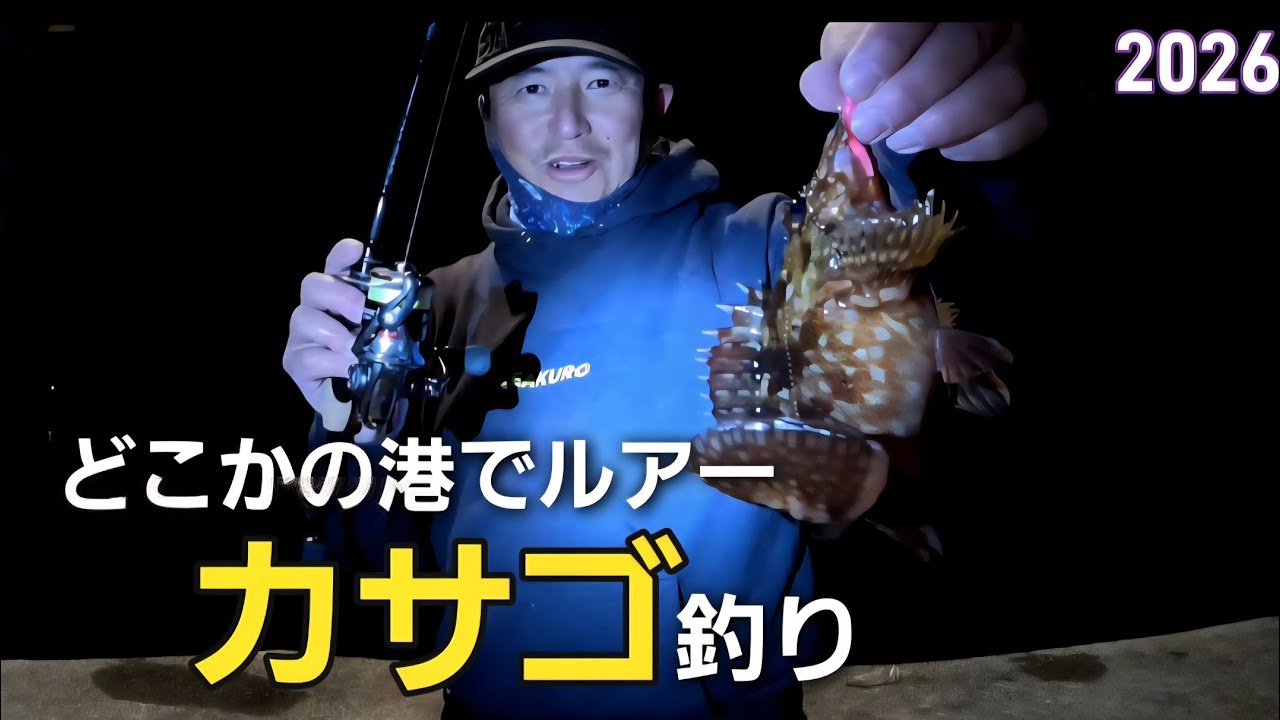 [ロックフィッシュ]どこかの港でカサゴ釣りオカッパリ楽し#カサゴ#ガシラ#ライトソルト#アラカブ