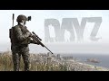 Dayz solo wipes the entire server