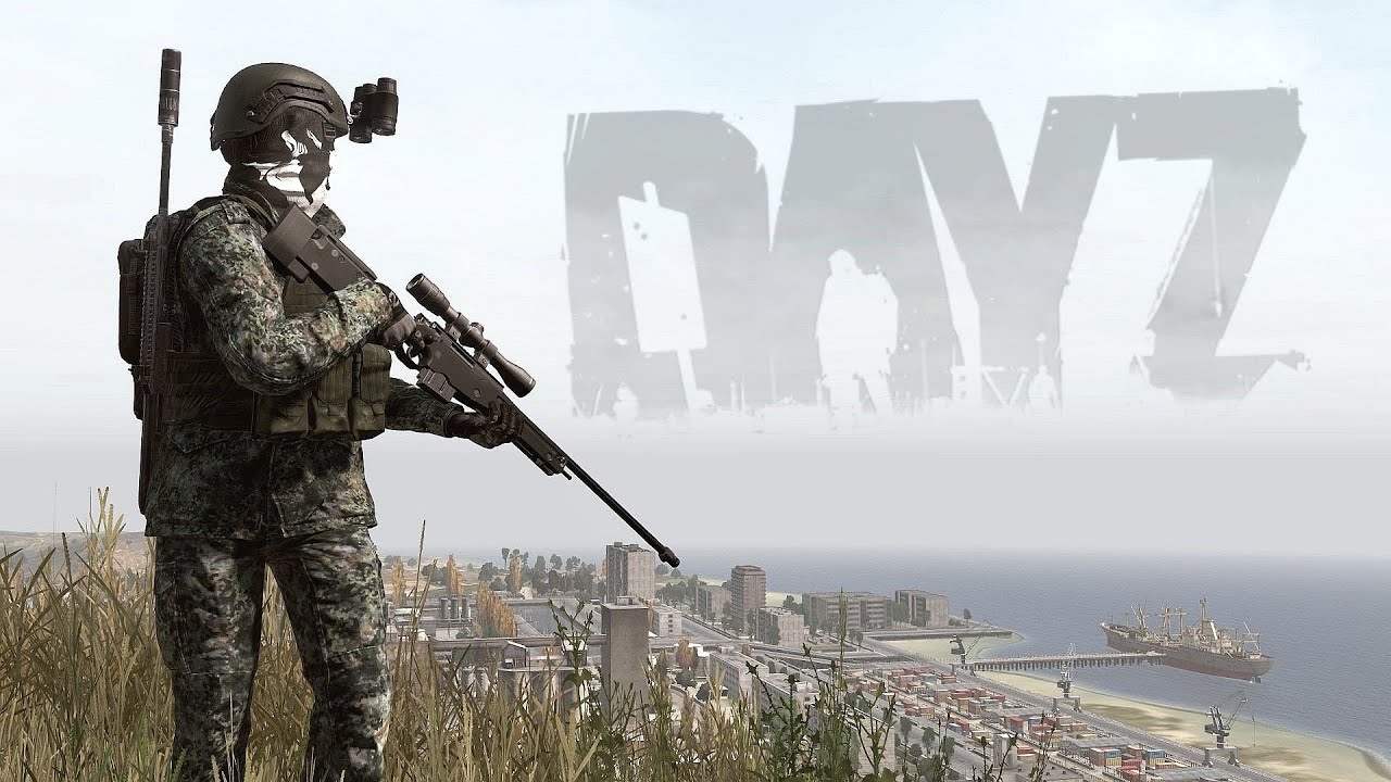 DayZ Solo WIPES The ENTIRE Server!