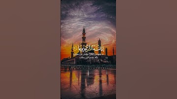 تلاوة القرآن الكريم تلاوة خاشعة #explore #ايات_قرانيه_قصيره #اكسبلور #لايك #حالاتواتس