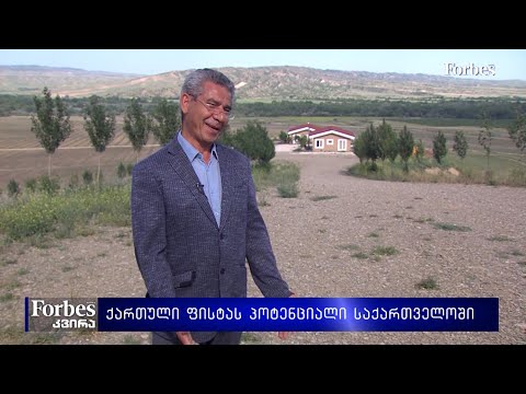 ქართული ფისტას პოტენციალი საქართველოში