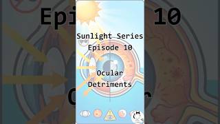 Sunlight Series Episode 10: The Ocular Limit