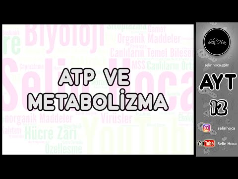 6) ATP ve Metabolizma