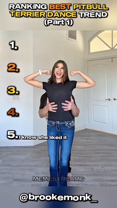 Ranking Best Pitbull Terrier Dance Trend- Part 1
