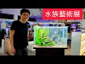 如何佈置水族展 神仙魚 孔雀魚 招潮蟹 水草造景  台中寵物水族新生活節 台灣精緻水族發展協會