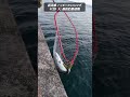 【GW中の超速報】ショアジギングでブリ連発！止まらないヒットラッシュ！ #fishing #釣り