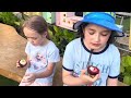 Beginning of video