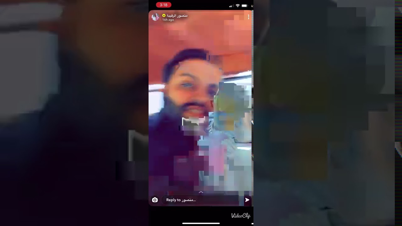 منصور الرقيبه وسلطان يتكلمون عن الكلاب، فيه كلب يوصل نص مليون 😅😅😅