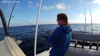 Catching red snapper and grouper with Ruby, Matt and Liam on 11 8 25 Offshore and Inshore.