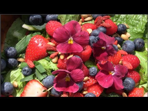 summertime blues Summertime Salad Fresh From The Garden