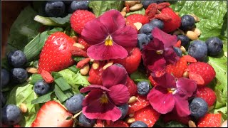 Summertime Salad Fresh From The Garden