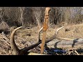 Коп по Войне. Новые места 2021. WW2 metal detecting in Kaliningrad region