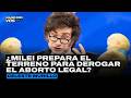 Milei, el aborto y la mentira pronatalista | Celeste Murillo en EL CIRCULO ROJO