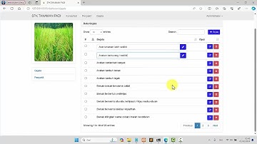 🔴 Sistem Pakar Diagnosa Penyakit Tanaman Padi Metode Forward Chaining dan Backward Chaining  Laravel