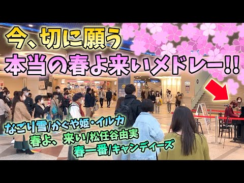 【ストリートピアノ】『なごり雪』／かぐや姫・イルカ～『春よ、来い』／松任谷由実～『春一番』／キャンディーズ（今、切に願う。本当の春よ来いメドレー）〔デュオ神戸ストリートピアノ〕