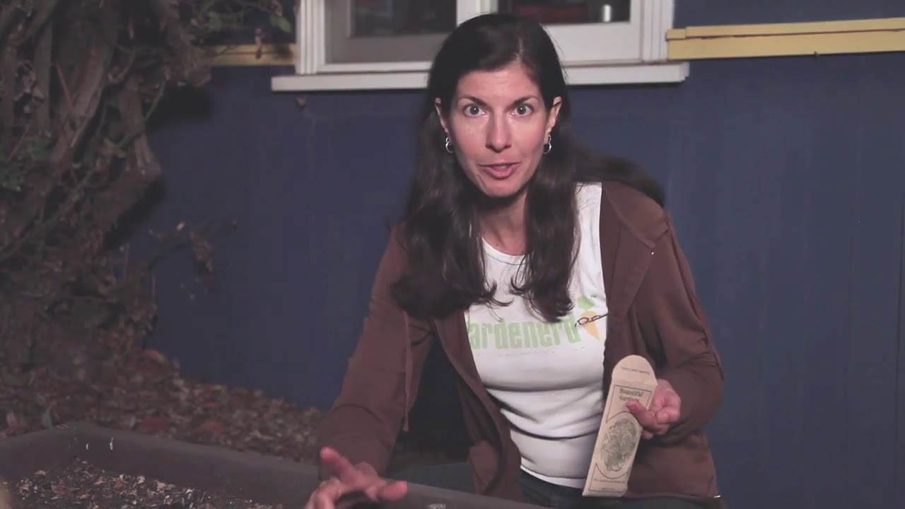Planting Alfalfa for Cover Crops and Compost - YouTube