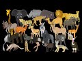 African Animals - The Kids' Picture Show (Fun & Educational Learning Video)