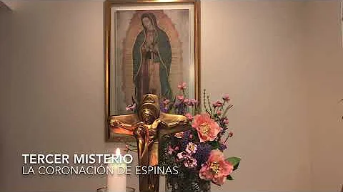 Santo Rosario Misterios Dolorosos Laura Villarreal