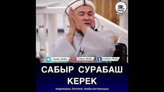 Сабыр сурабаш керек!   Шейх Чубак ажы устаз